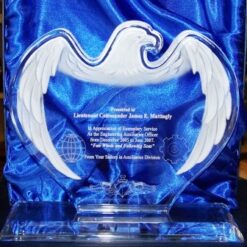 ACRYLIC EAGLE AWARD